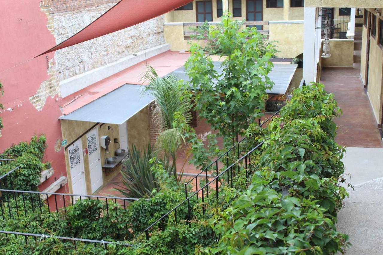 El Descanso Barrio Del Artista Hotel