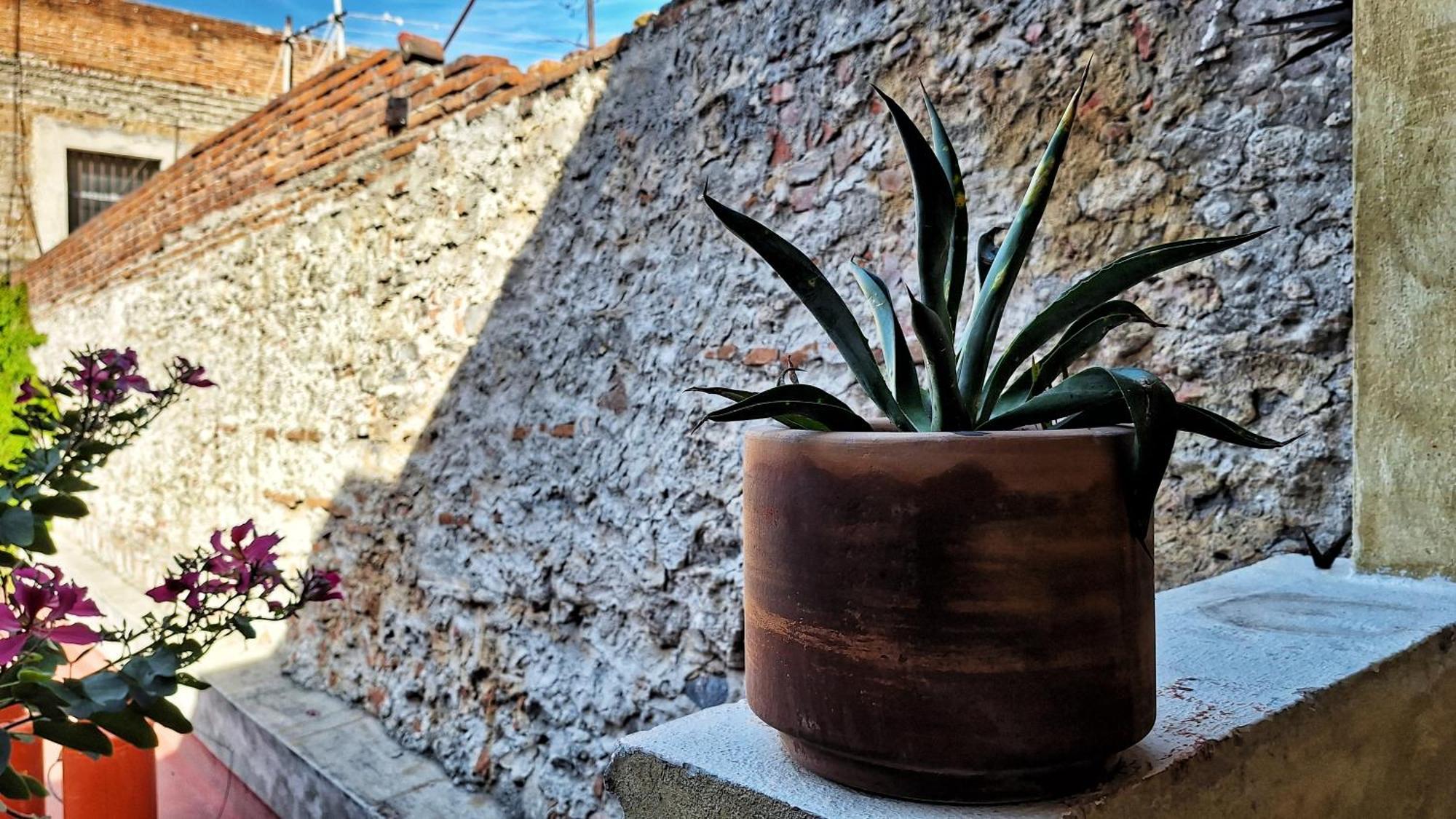 El Descanso Barrio Del Artista Hotel Puebla